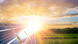 energia solar nas granjas